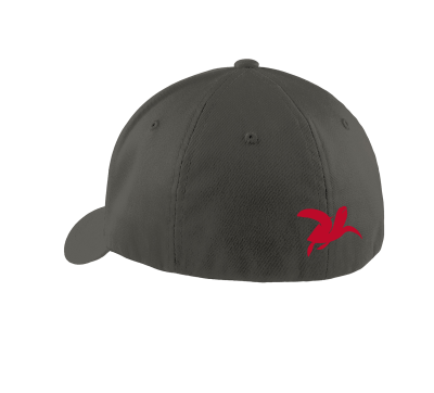 ACC-023-DKG_Baseballcapback